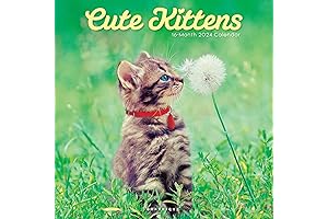 Graphique 2024 Wall Calendar of Cute Kittens
