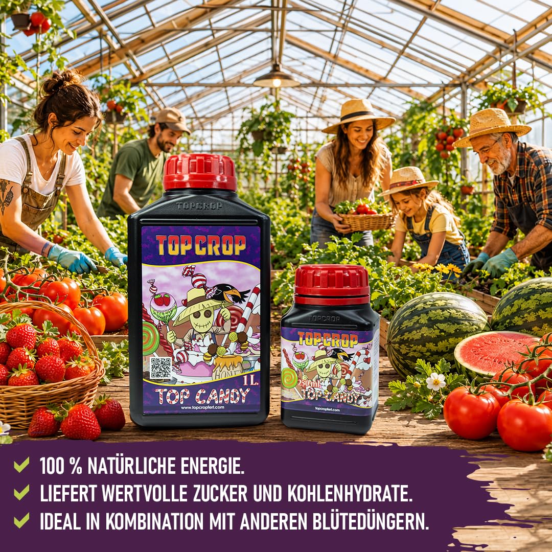 Top Candy 10 L – Fertilizante Orgánico Líquido para Floración, Mejora Aroma, Sabor y Desarrollo de Flores (10 Litros)