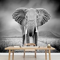 Vista 34 de SIGNWIN Adhesivo mural removible para pared, niebla y niebla, montaña, ladera, bosque, naturaleza, desierto, fotografía, realismo, paisaje