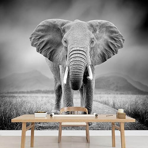 Miniatura 34 de SIGNWIN Adhesivo mural removible para pared, niebla y niebla, montaña, ladera, bosque, naturaleza, desierto, fotografía, realismo, paisaje