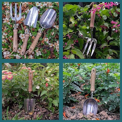 Miniatura 7 de YOEZA Cucharas sueltas de acero inoxidable para jardín, cucharas de pala con mango de madera de Tsubaki, cucharas de paleta para excavar,