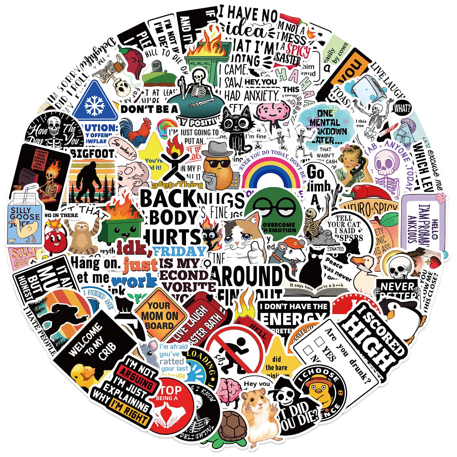 Kaensc Prank Meme Sticker 100 Pcs,Funny Graffiti Waterproof Decals For Laptop Skateboard Luggage Bike Water Bottles Phone Computer Guitar Motorcycle Cars Helmet Scrapbook Journal For Adults