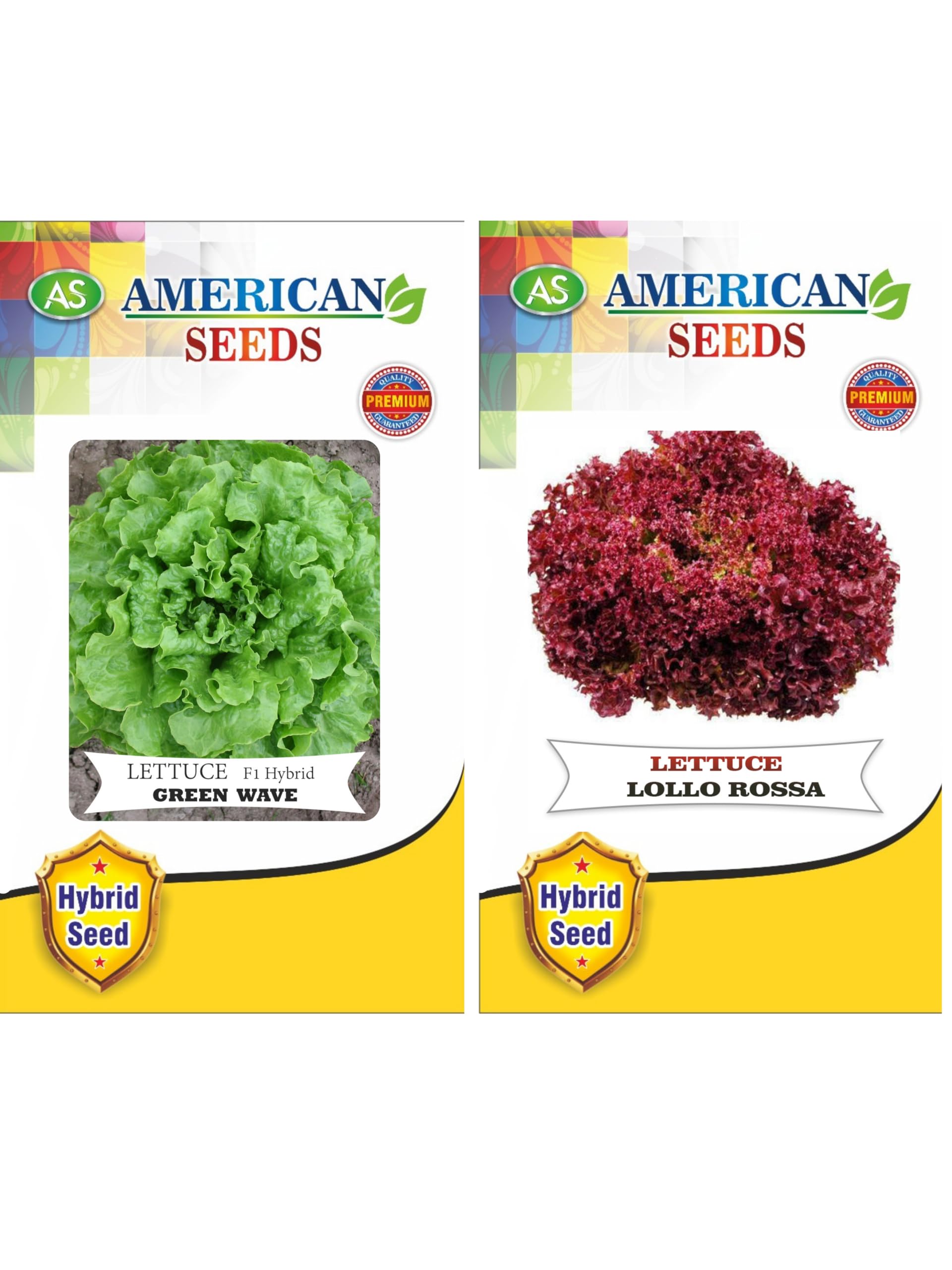 American Lettuce seeds | salad leaves (Red and green) (Pack of 2) (B0CM9WQKL9) Amazon Price History, Amazon Price Tracker