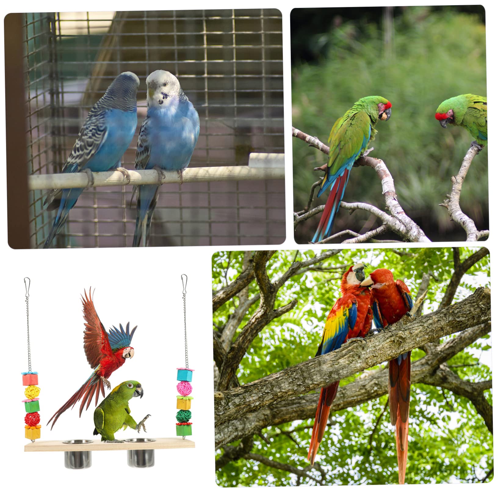 minkissy 5 piezas de juguete de búsqueda de loro, perca de pollito, columpio de loro con taza de comida, juguete de mordida de loro, juguetes de pájaros para cacatúas, perchas, juguete de loro,
