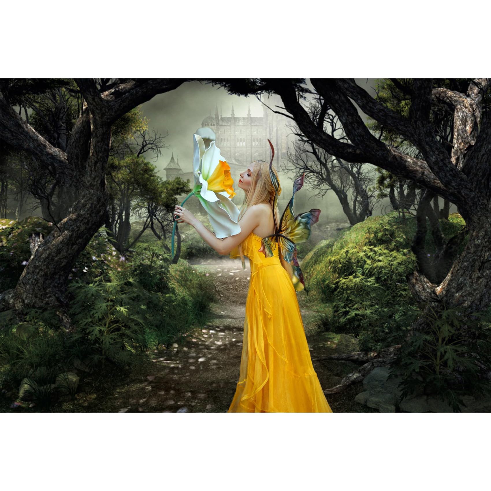 Amazon.com : Renaiss Enchanted Forest Backdrop Fabric Green Medieval Smoky Jungle  Forest Wonderland Fairy Tale Adventure Photography Background for Kids  Fairytale Theme Party Decorations Photo Prop 10x6.5ft : Electronics