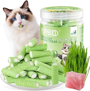 Katzengras Snack 100g, Zahnpflege & Haarknäuel