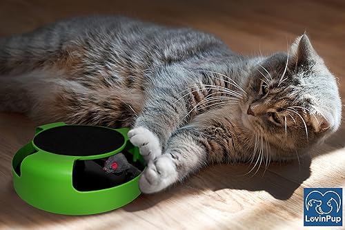 Miniatura 4 de Juguete rascador interactivo para gatos con juguete giratorio para gatos, juguete con tabla de rascar y ratón para correr, divertido juguete