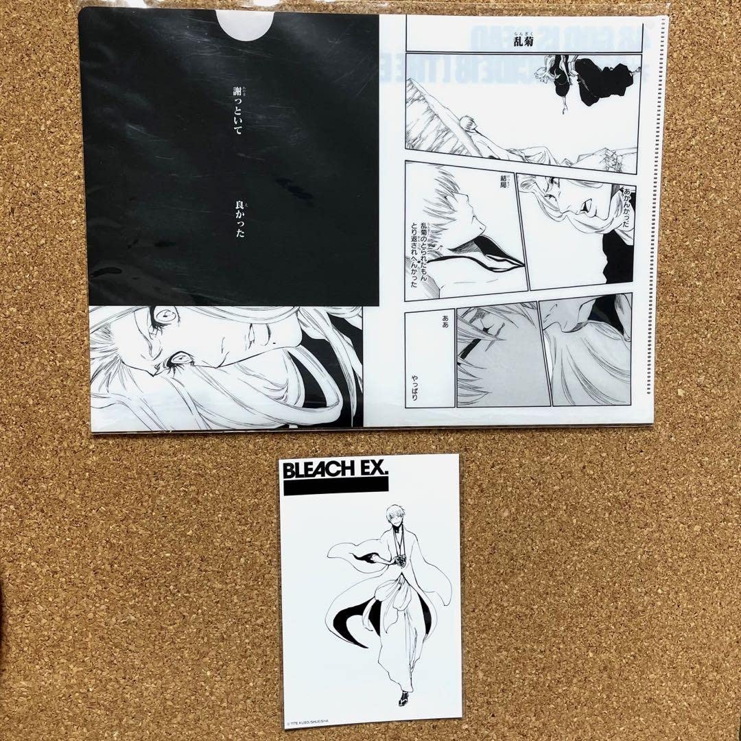 Amazon.co.jp: BLEACH EX. 市丸ギン 松本乱菊 クリアファイル
