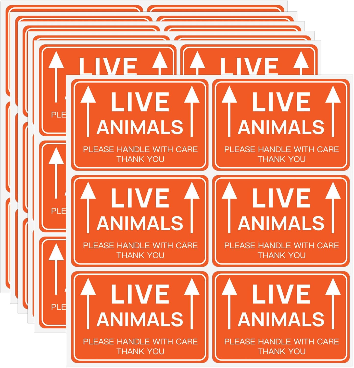 60PCS Live Animal Warning Stickers – Handle with Care for Safe Shipping 60PCS Live Animal Warning Stickers – Handle with Care for Safe Shipping