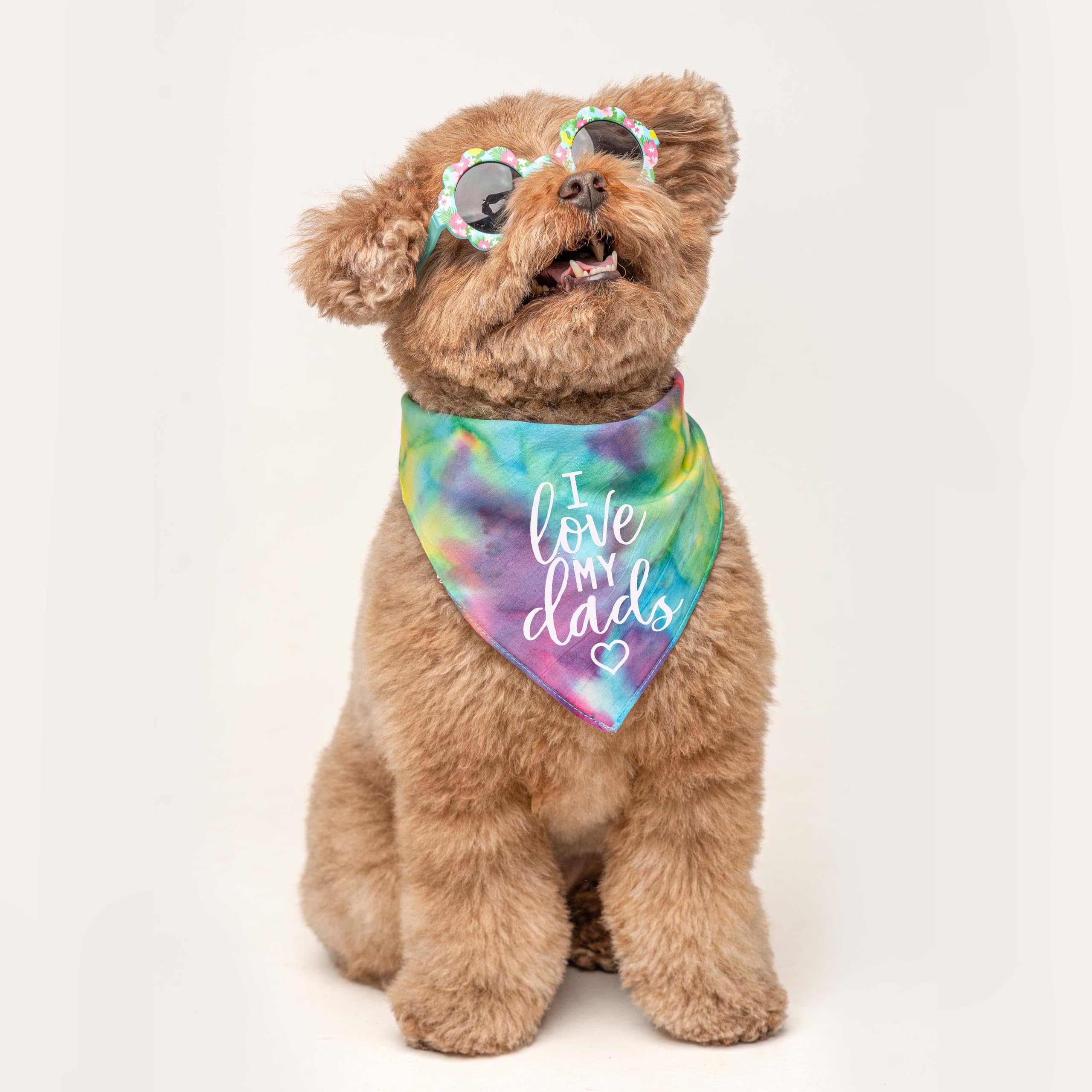 I Love My Dads (Two) Father's Day Dog Bandana | 100% Cotton Tie Dye Triangle | Made in USA | Pride Day | LGBTQ+ | Rainbow | Parade | One Size | Rainbow Scrunch (176)