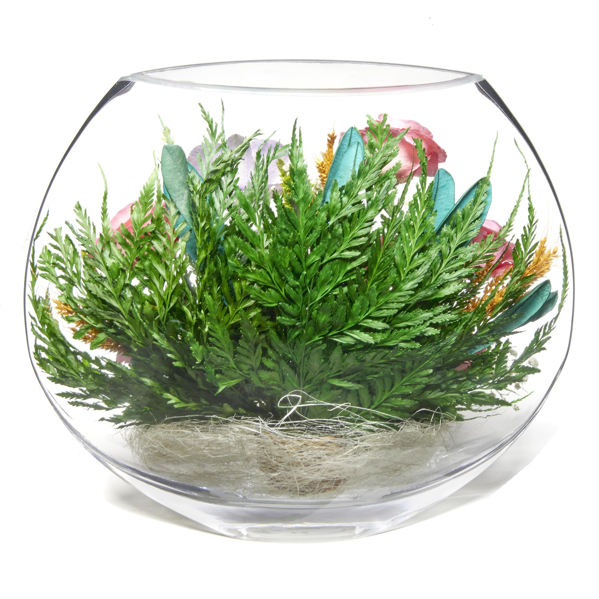 Preserved Orchid Bouquet In Sealed Glass Vase - Lasts 5+ Years No Water Needed