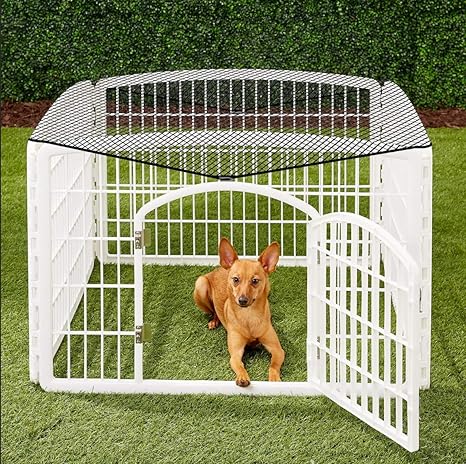 cage muzzle petco