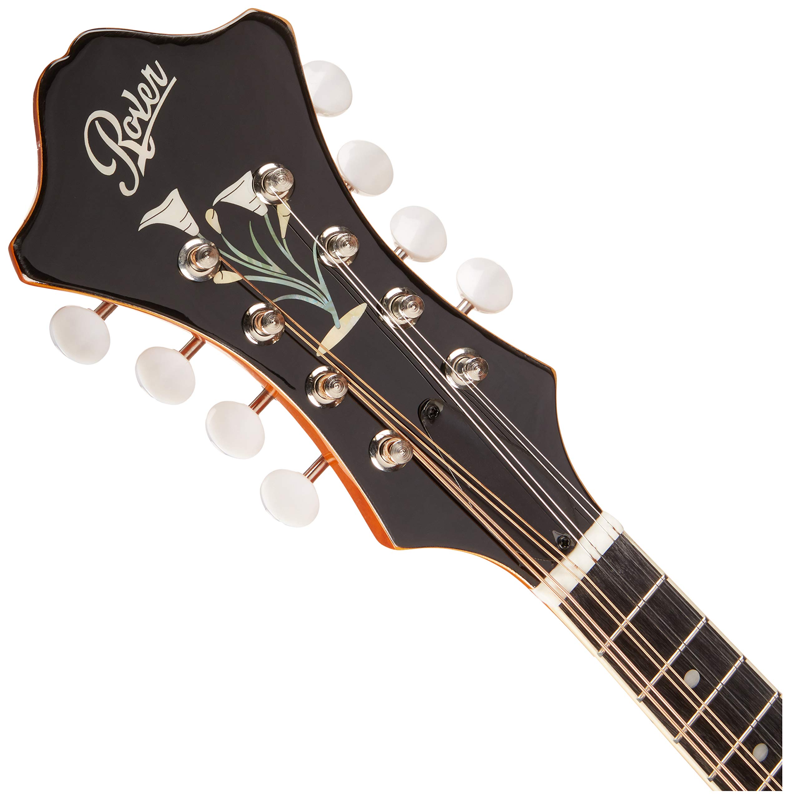 ROVER A-MODEL MANDOLIN SOLID TOP - Image 4
