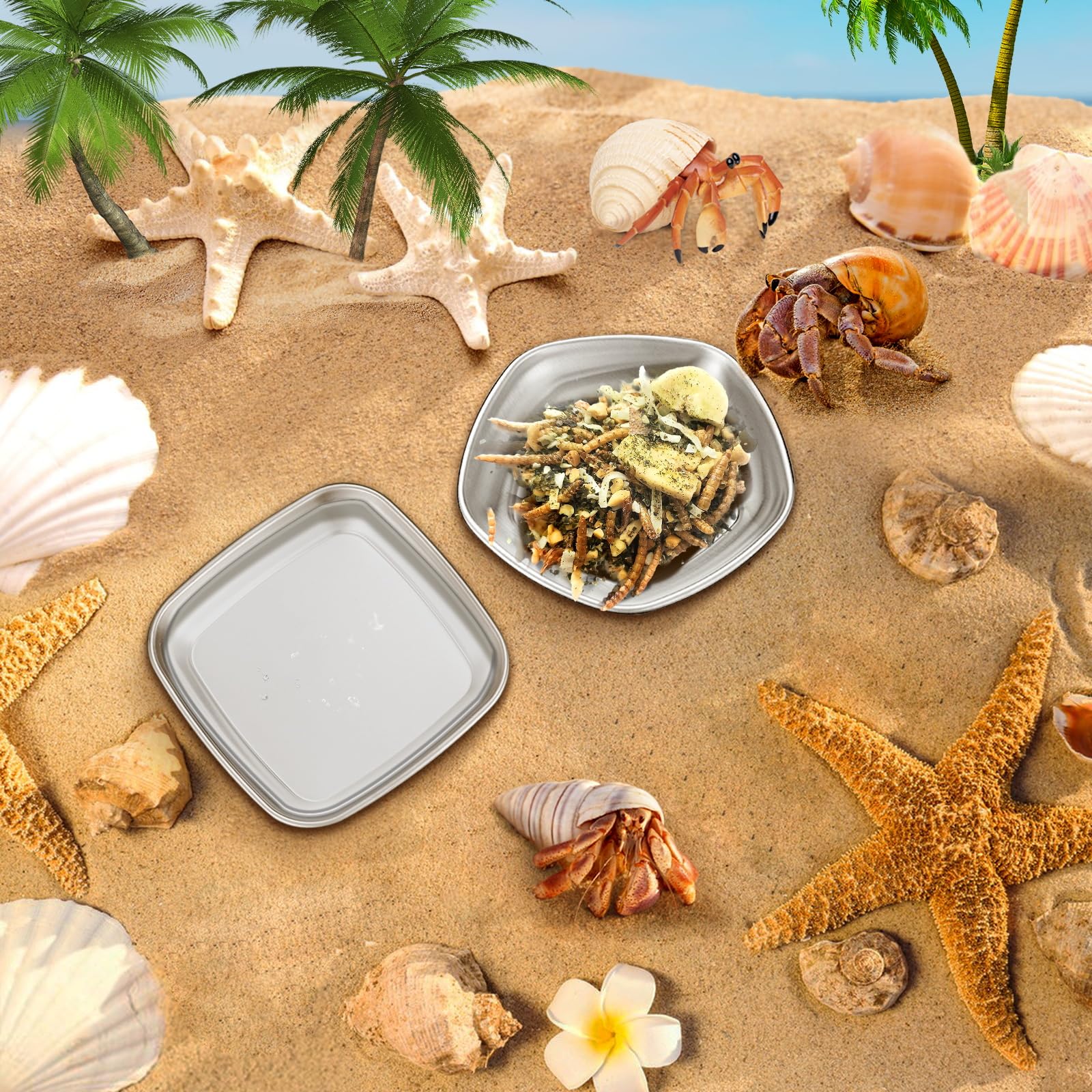 Condition photo showing New/Like New for Harhana Hermit Crab Food and Water Bowl Set, Heavy Duty, 2 Pcs, Stainless Steel, 3x3x0.5 Inch, True Food Dish, 100% BPA Free