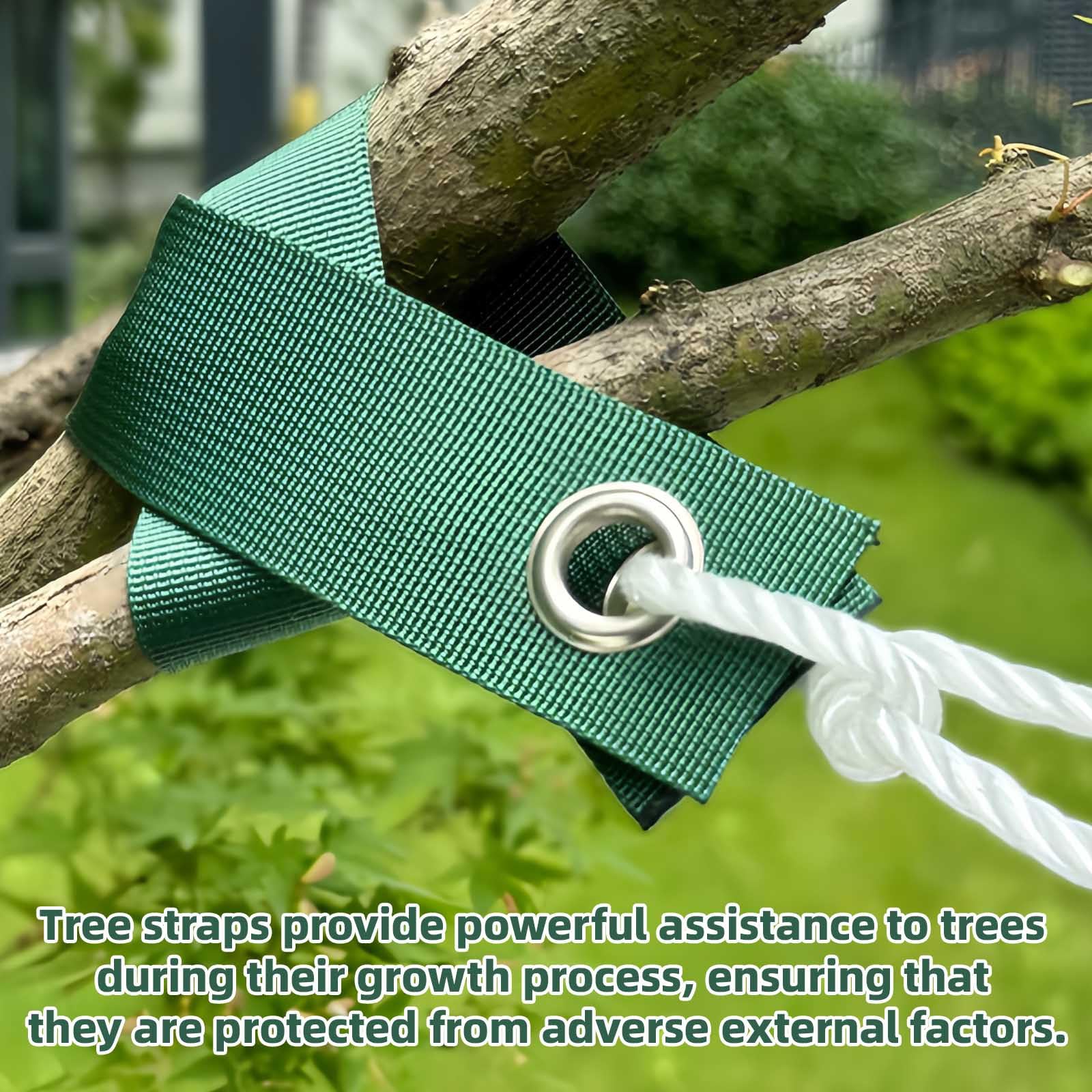 View 7