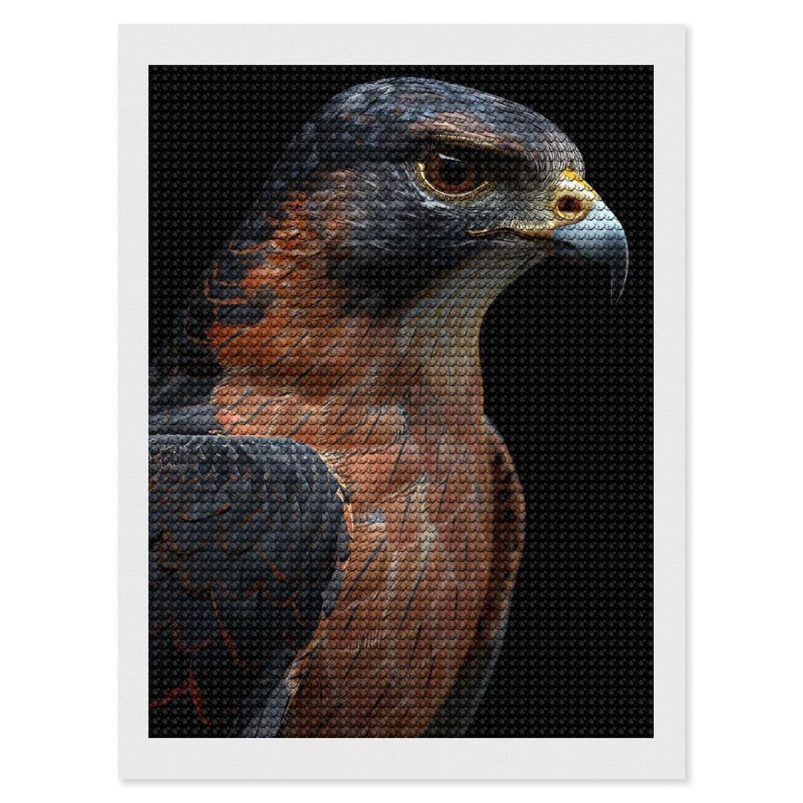 Junmoney Falcon Diamond Art Kit 12"x16", Bedroom Decor, Adhesive Canvas, Full Kit Included, Thoughtful Present, Birthday Gift