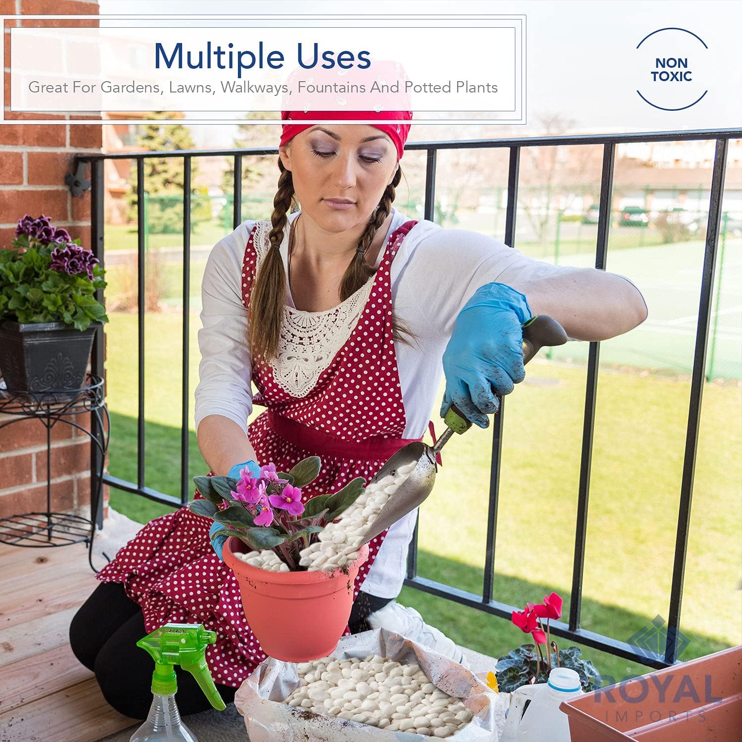 Royal Imports 5LBS River Rocks Decorative Ornamental Pebbles, Garden Landscaping Stones, Natural Gravel Filler for Plants, Vases, Succulents, Home Decor, Arts, Crafting, Animal Habitat - Large White : Patio, Lawn & Garden