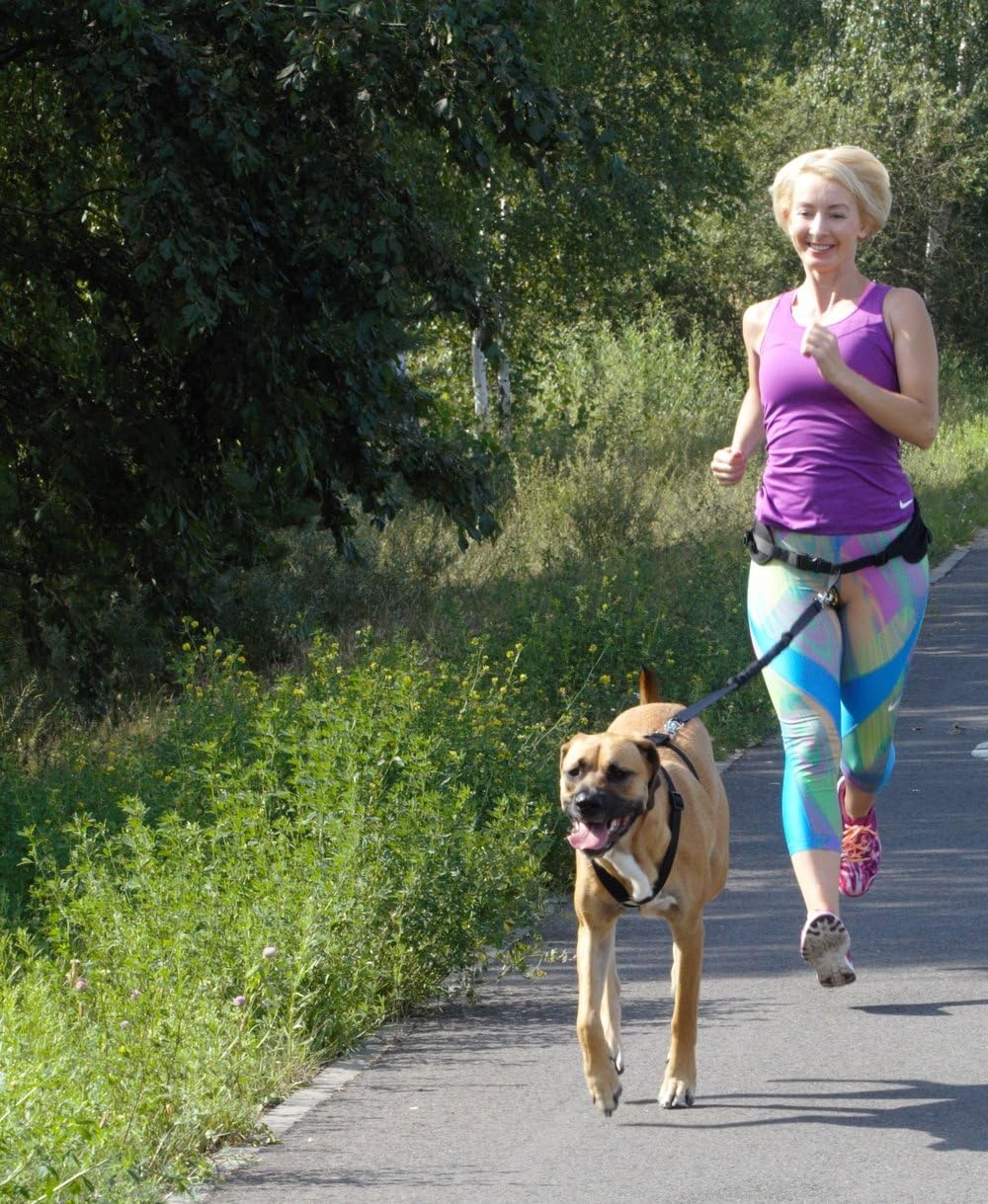 DINGO Canicross Belt 4-in-1 Universal, Adjustable,...