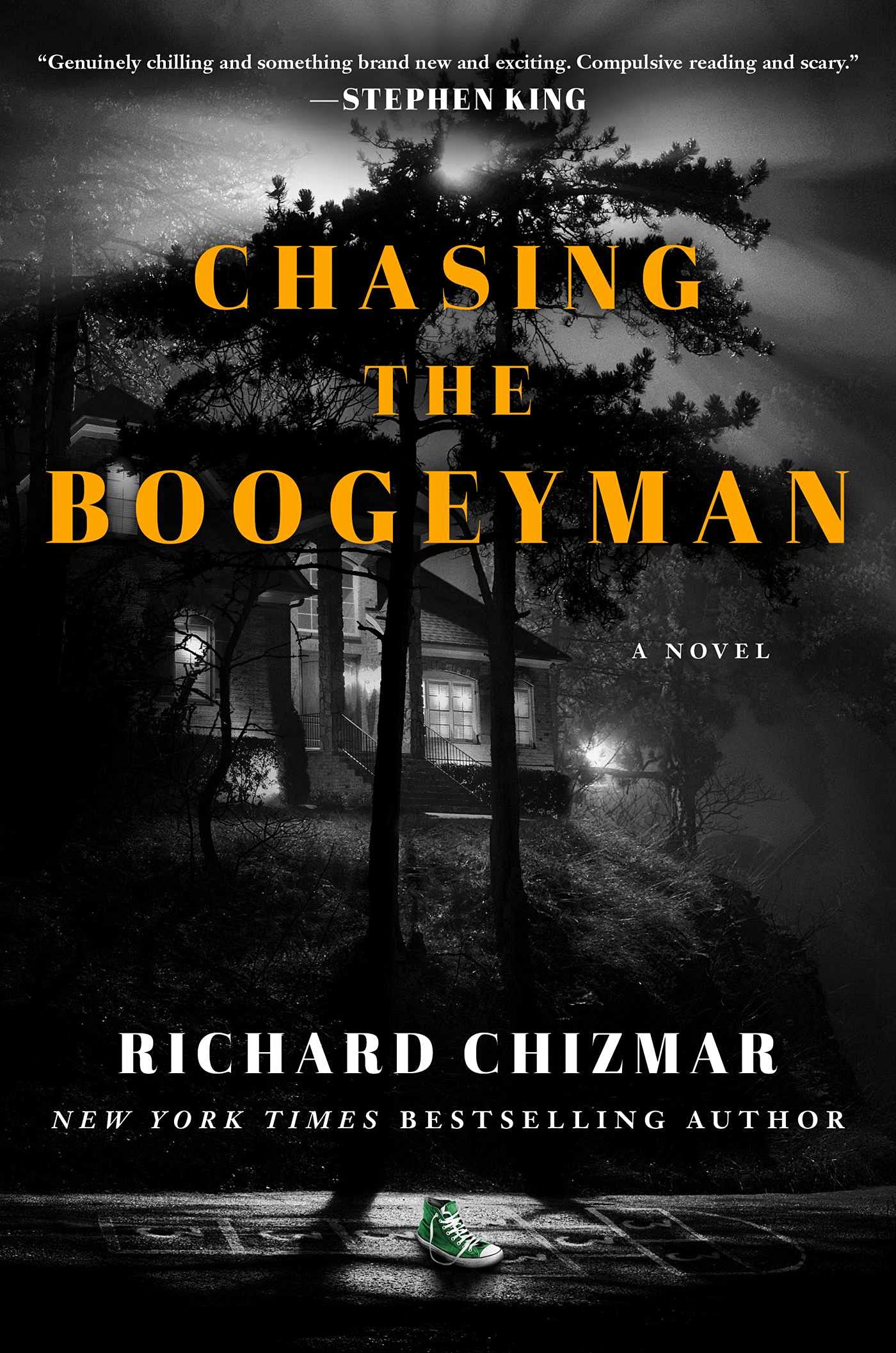 Chasing the Boogeyman: A Novel Hardcover – August 17, 2021