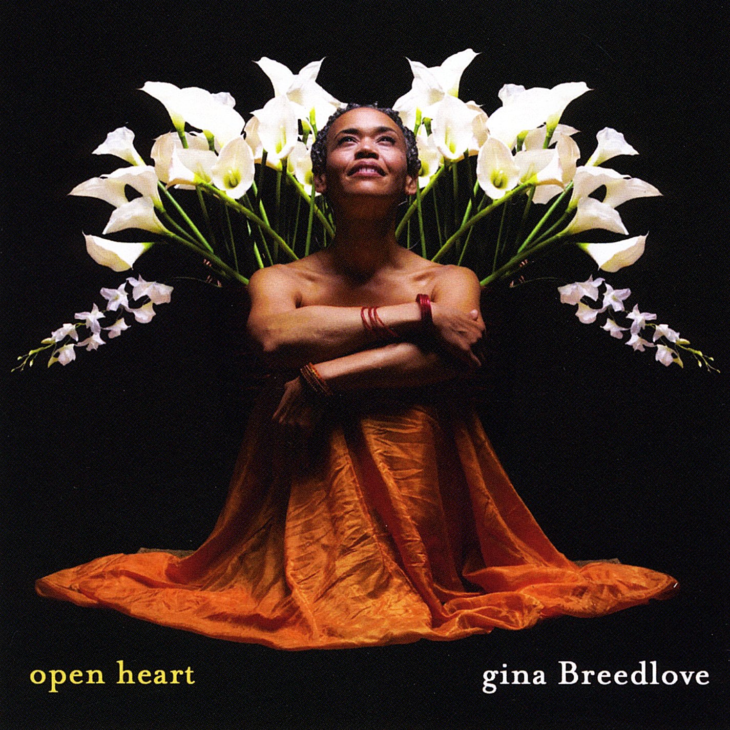 Open Heart [Audio CD] Breedlove, Gina and Gina Breedlove