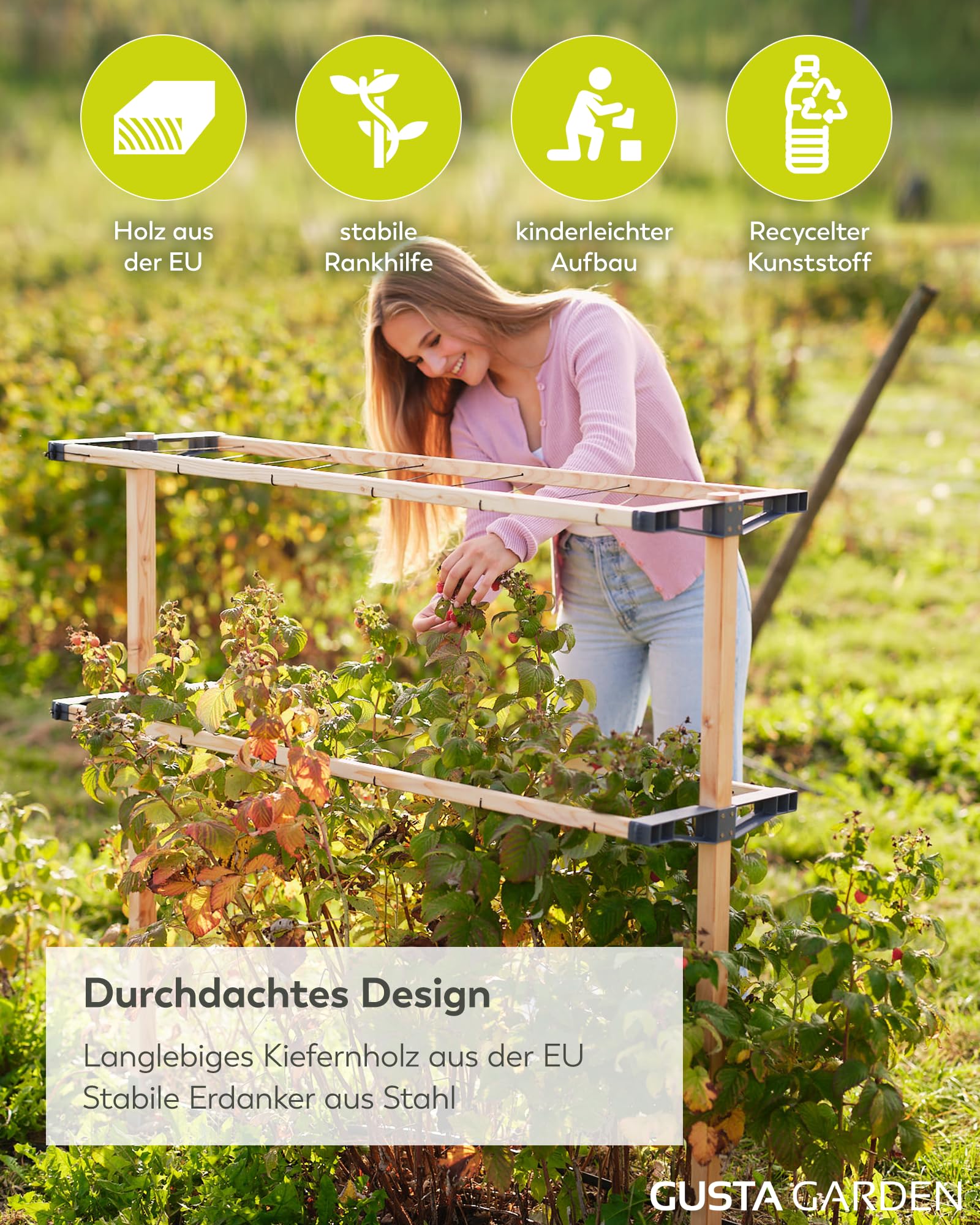Gusta Garden Berry Buddy - Flexible Rankhilfe für Beeren: Himbeeren, Brombeeren & Heidelbeeren, erweiterbar, produziert in der EU, Rankgitter aus Holz (240cm)