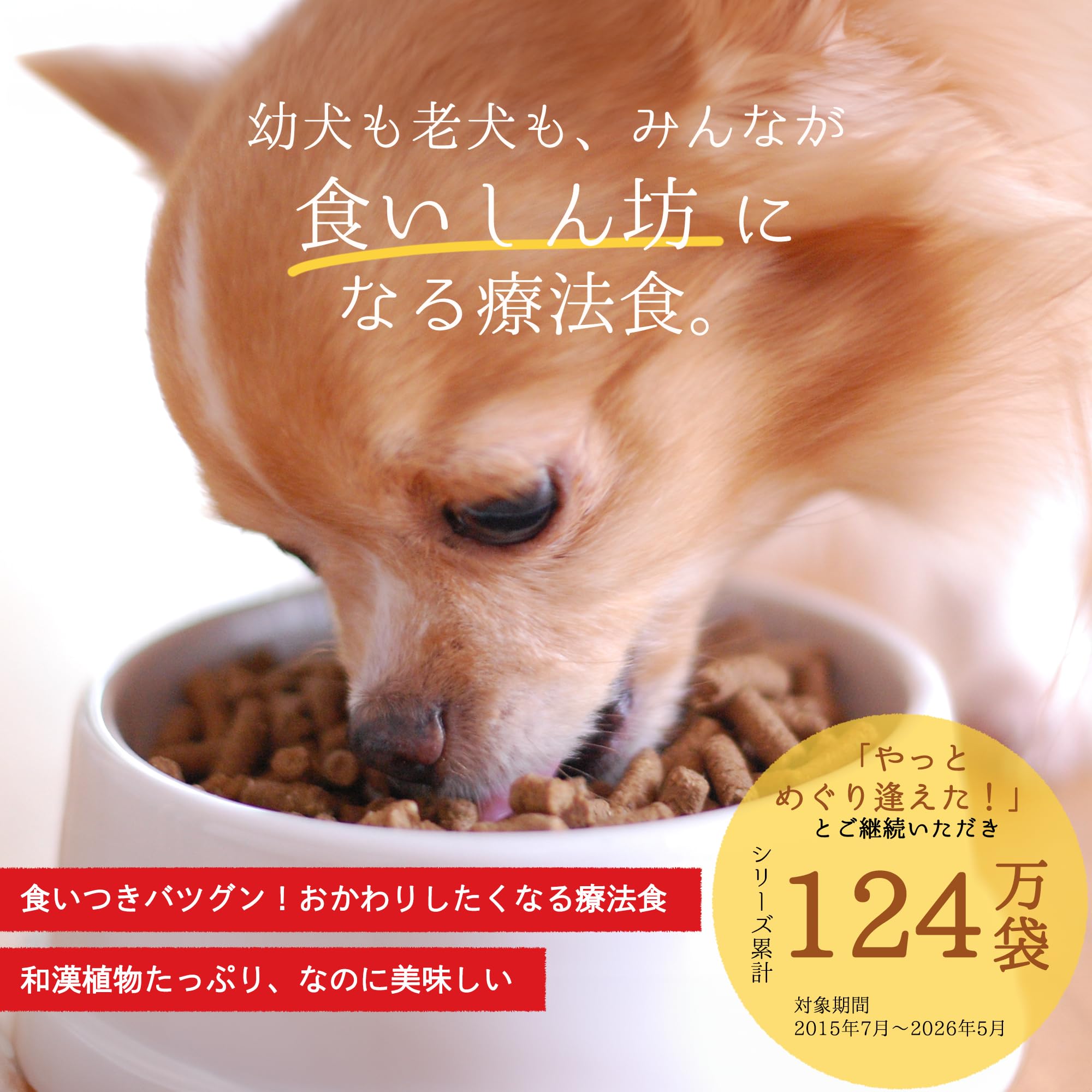 Amazon.co.jp: 和漢みらいのドッグフード 心臓ケア 1kg×2袋 特別