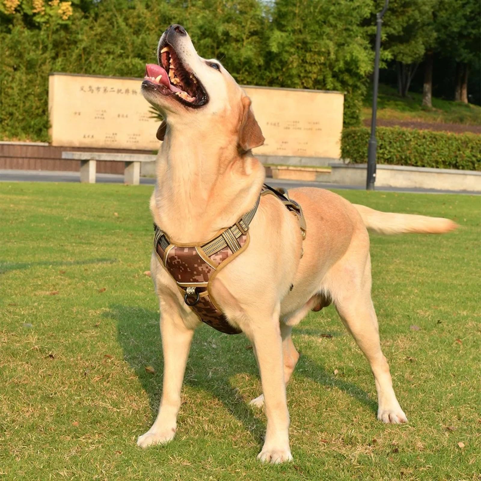 Guinzaglio Da Campeggio Per Addestramento Riflettente Tattico Militare Per Cani Con Maniglia Di Controllo Per Bulldog Chihuahua Carlini, Black Set,l