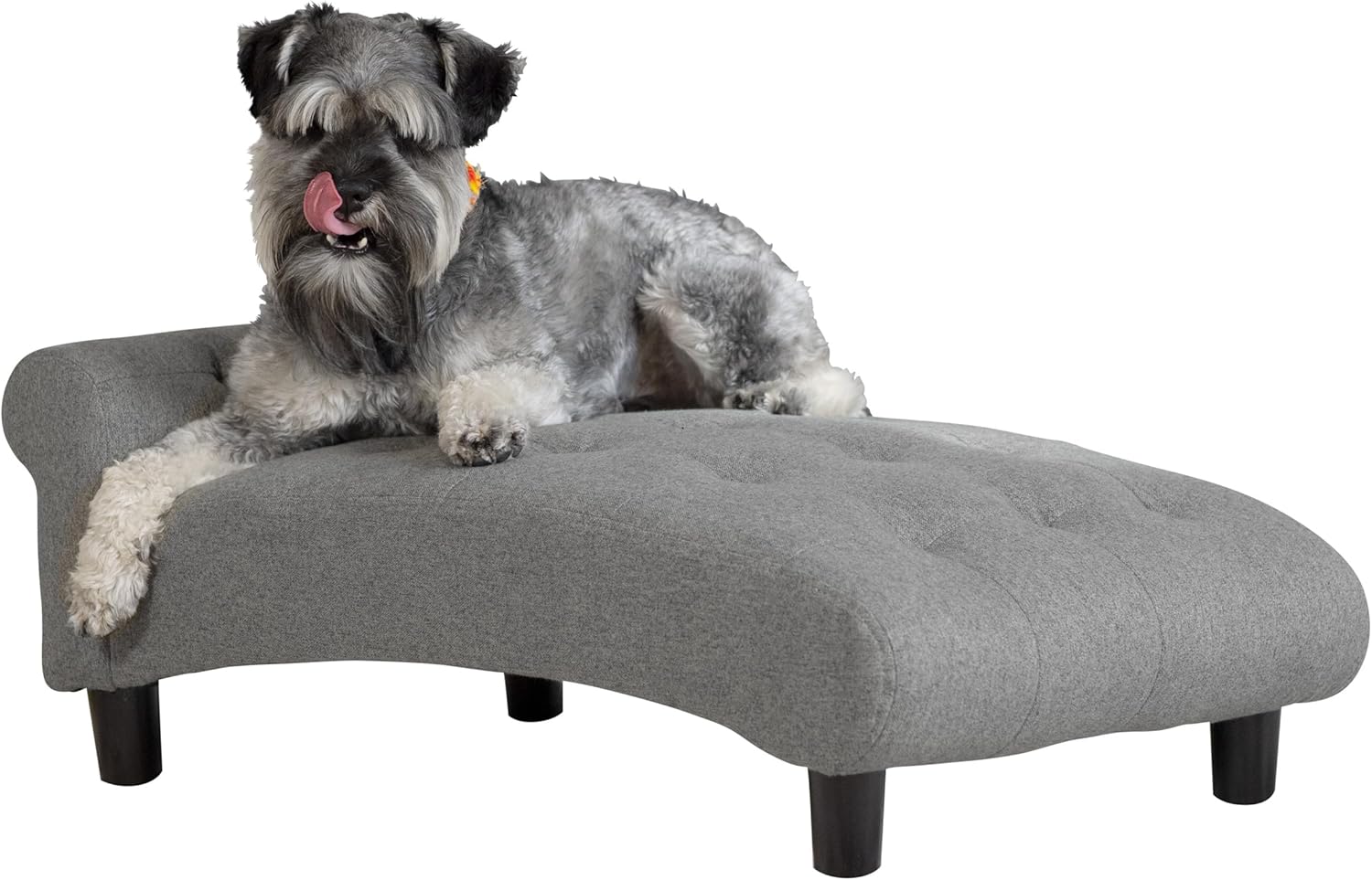 Paws & Purrs Modern 21" Wide Pet Chaise Lounge Bed for