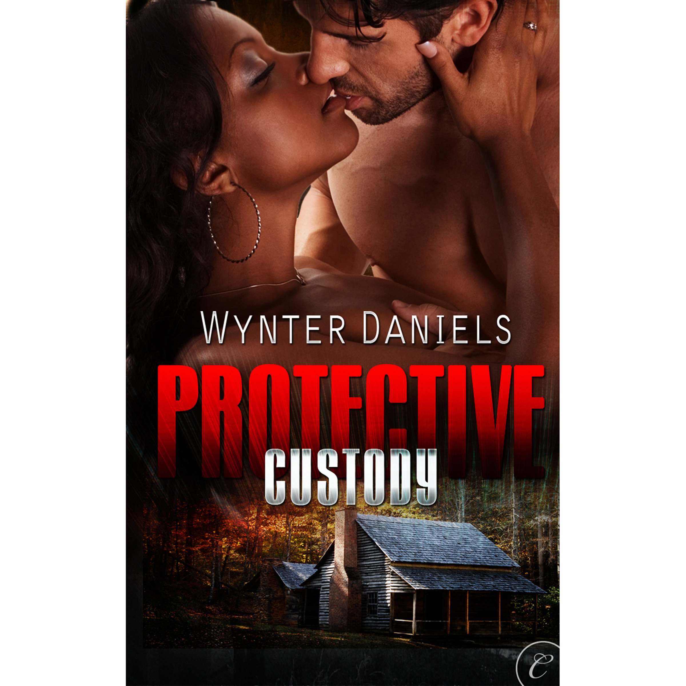 Cover art for Protective Custody