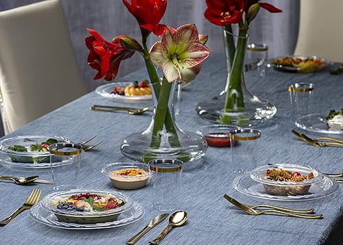 Miniatura 4 de PLASTICPRO Plato de plástico desechable transparente de alta calidad (480, placas de 6 pulgadas)