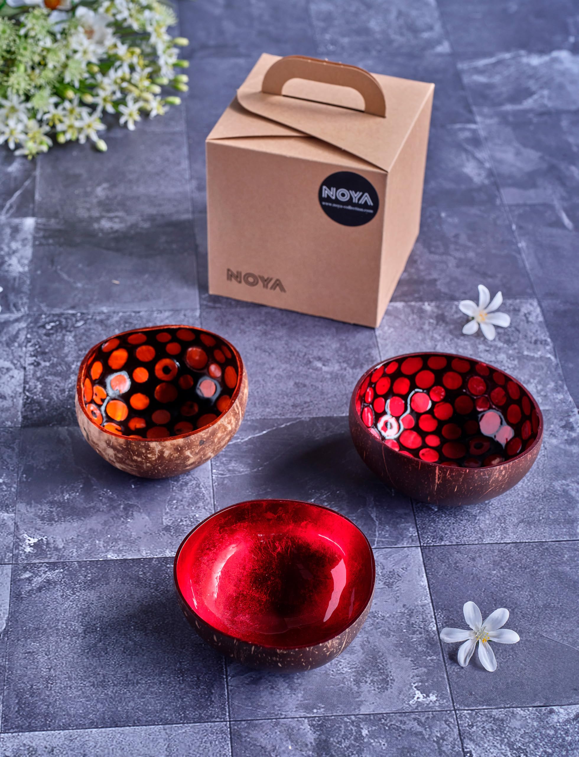 Noya Lot de 3 bols couleurs assortis en Noix de Coco, D14 Cm