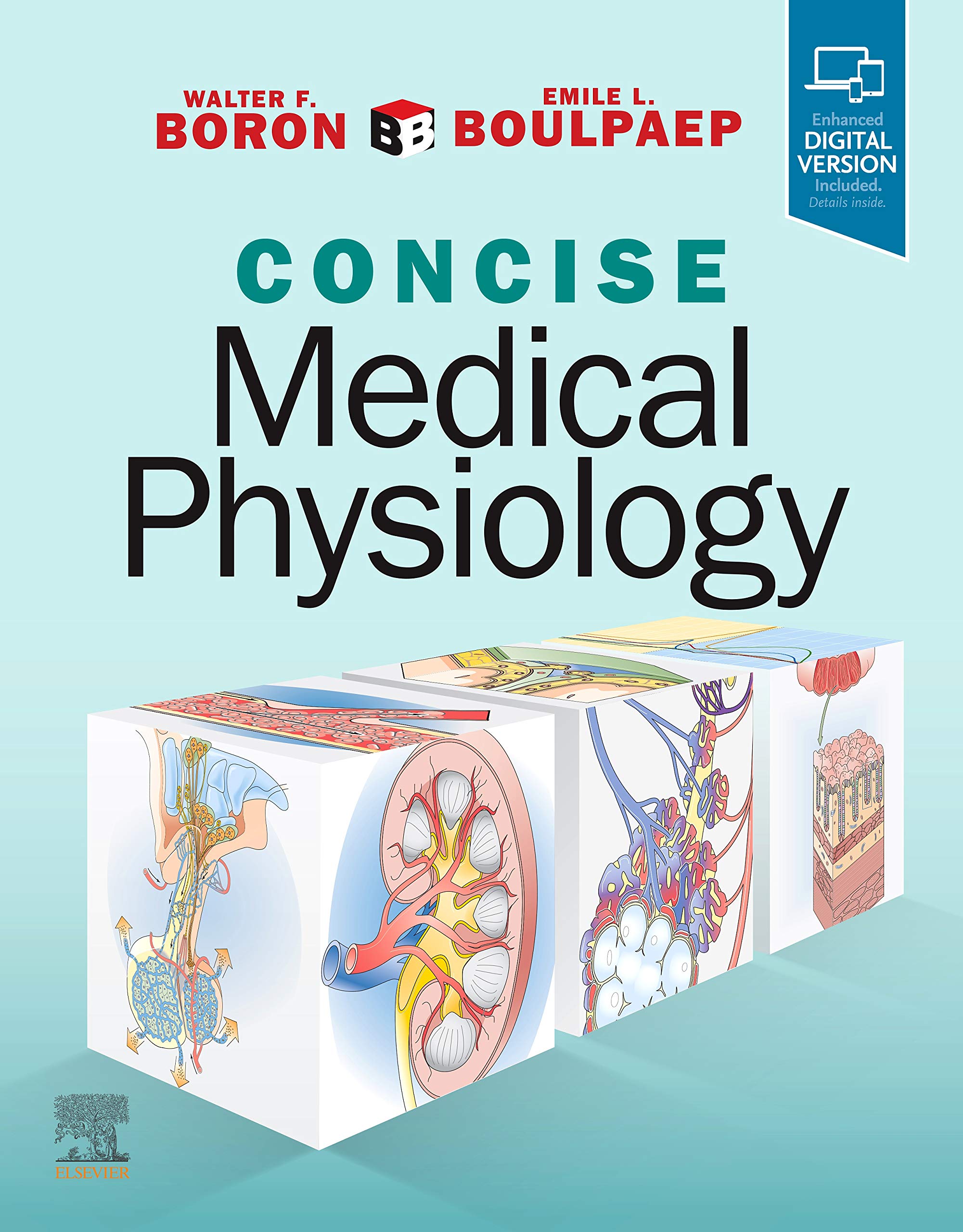 洋書 Medical Physiology Boron and Boulpaep Concise Medical Physiology: Boron MD PhD