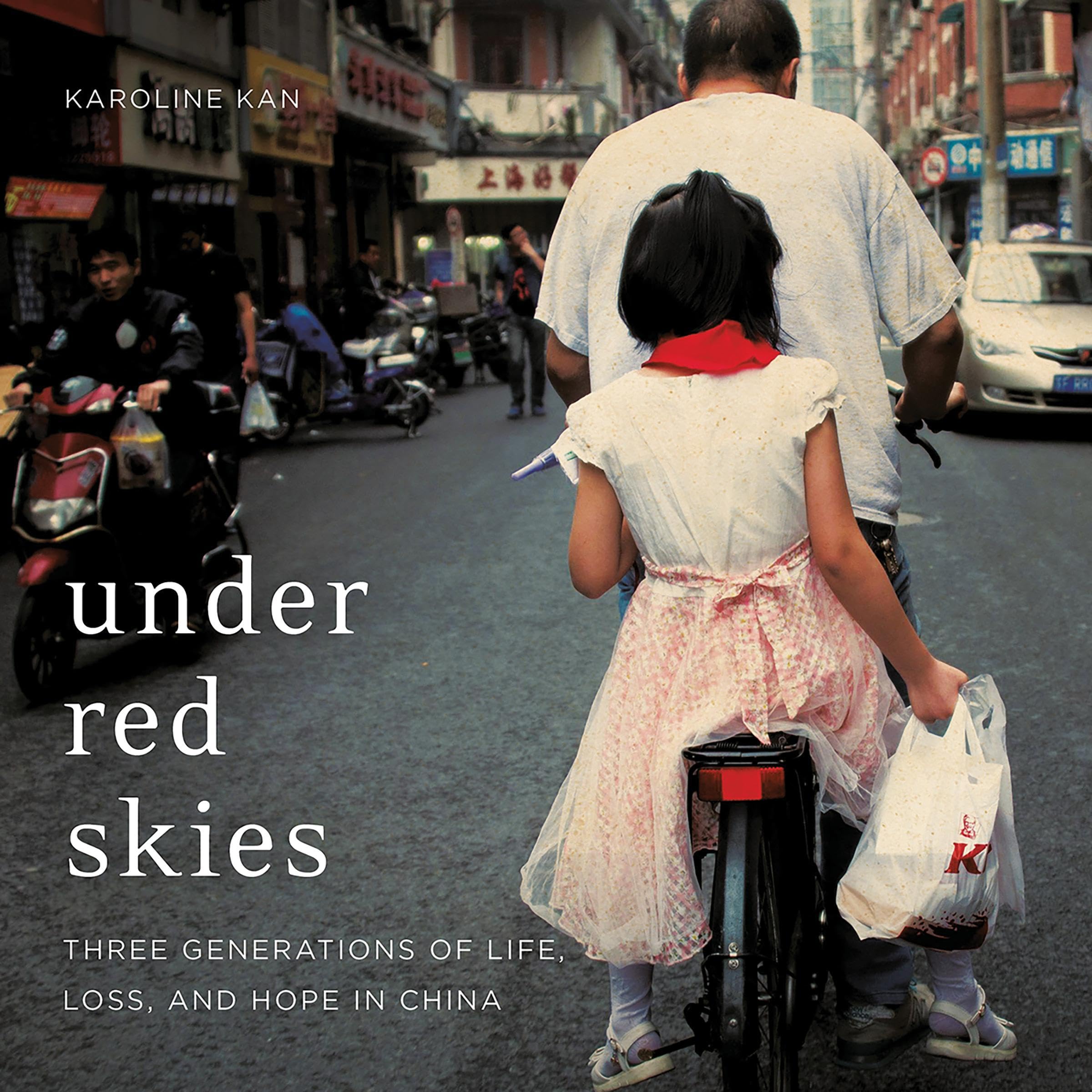Cover art for Under Red Skies