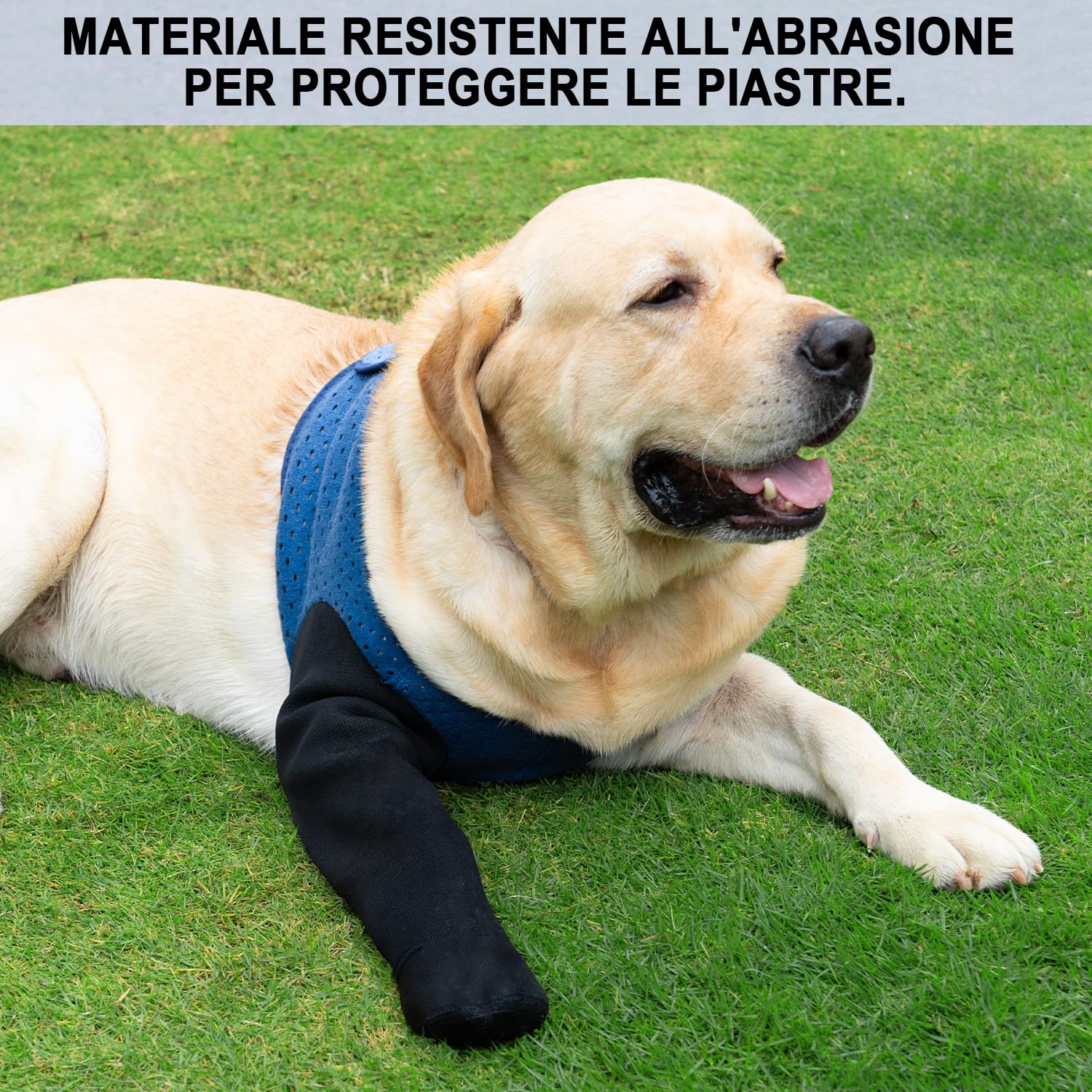 COODEO Calzini Protettivi per Cani Antileccatura, Copri Zampe con Suola Antiscivolo per Protezione Ferite e Guarigione, Scarpette Impermeabili (Blu, 3XL_Sinistra)