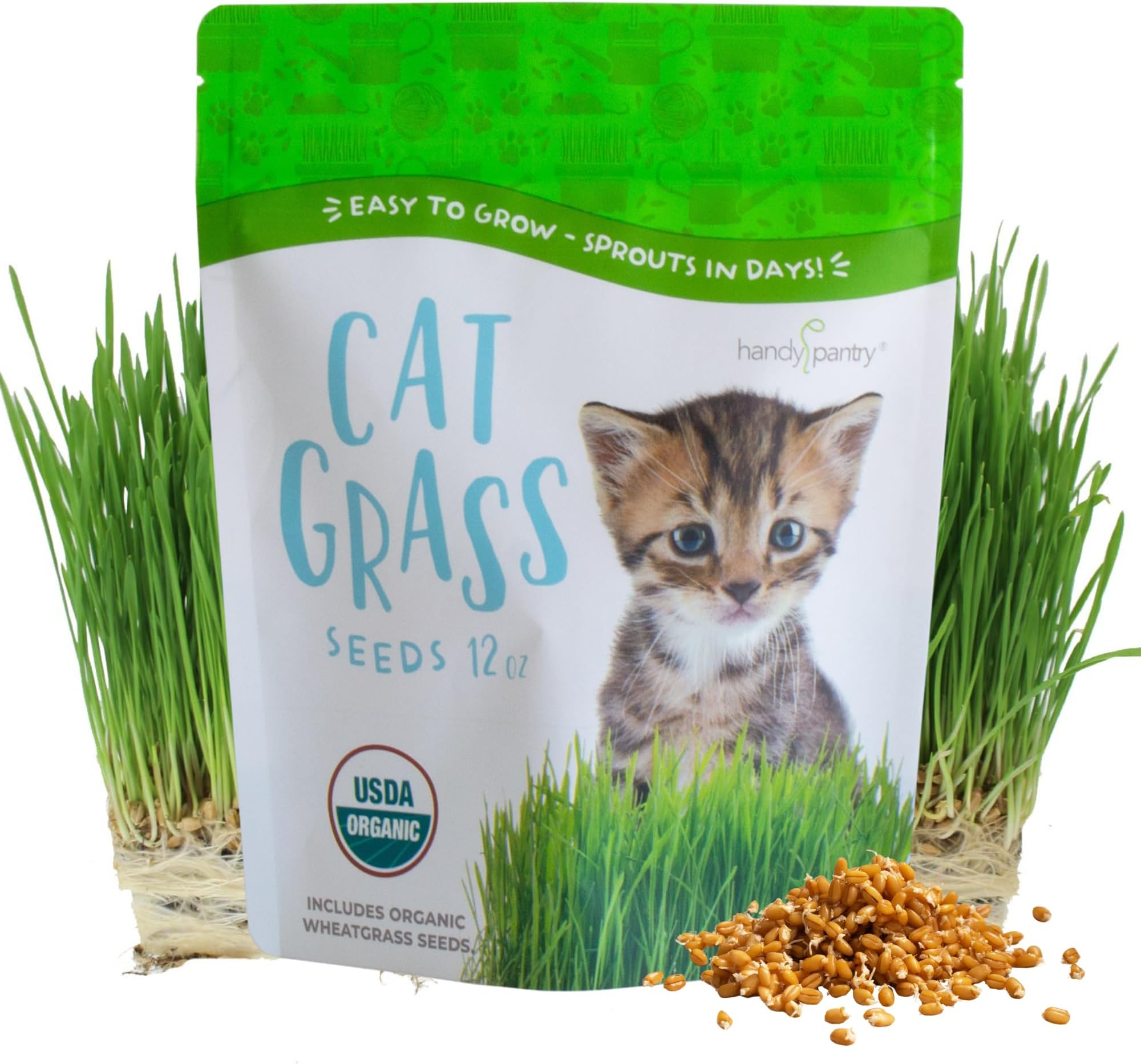 Organic Cat Grass Seeds – Non-GMO Hard Red Wheatgrass Seeds for Cats, Dogs, Rabbits – Grows in Cat Grass Kits – 12 oz