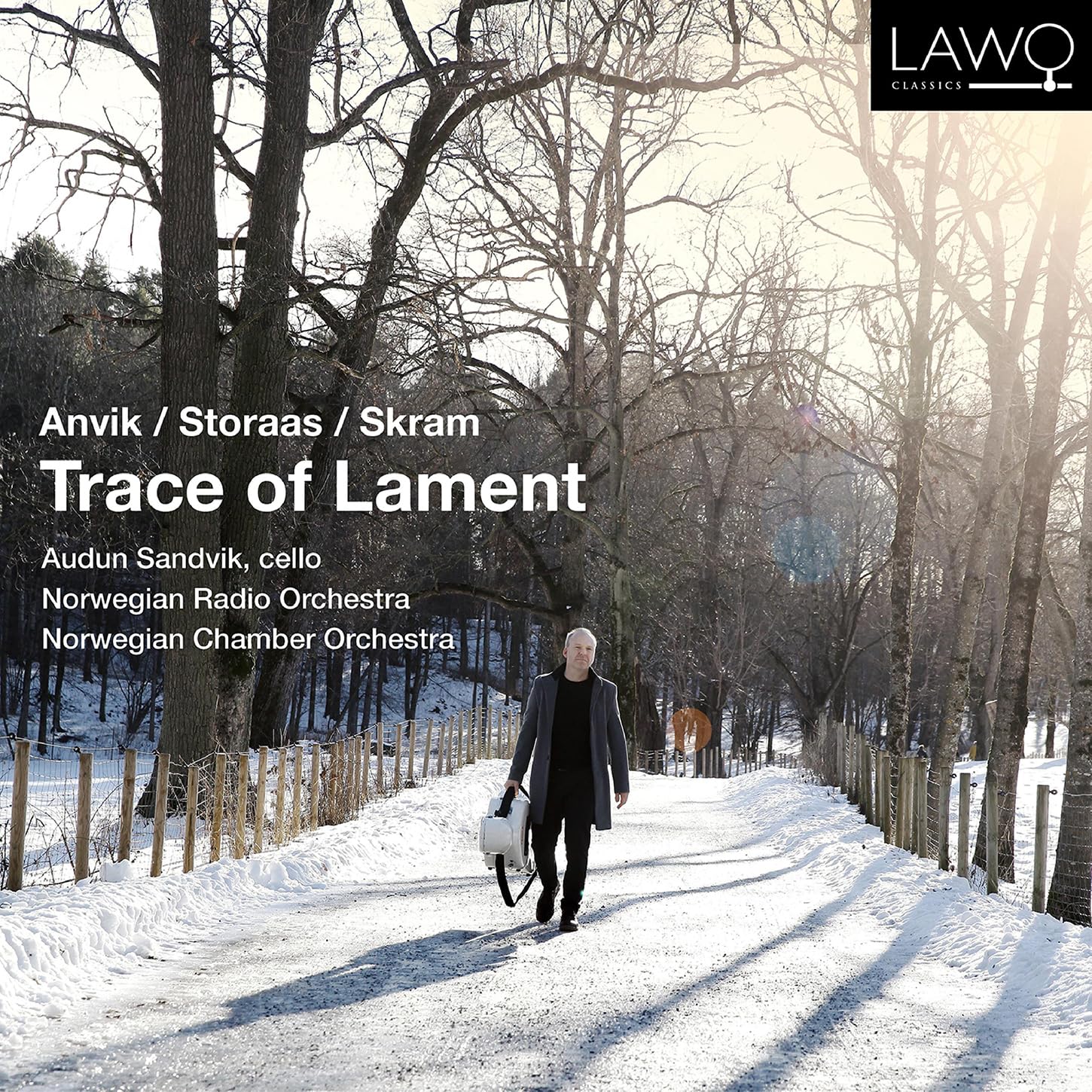 Vinyl Castle Anvik/Storaas/Skram: Trace Of Lament
