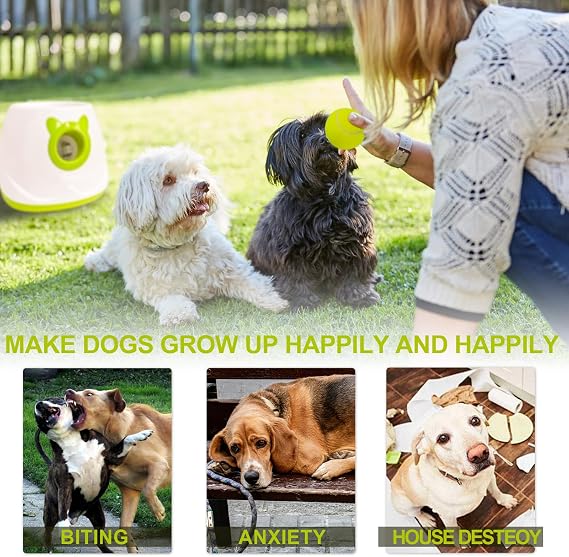 Automatic Dog Ball Launcher Tennis Ball Thrower Machine with 6 Balls,Remote | 6 balls included,for Small Medium Dogs,Adjustable 3 Fetching Distance,10ft,20ft,30ft,and random mode,Indoors Outdoors,White