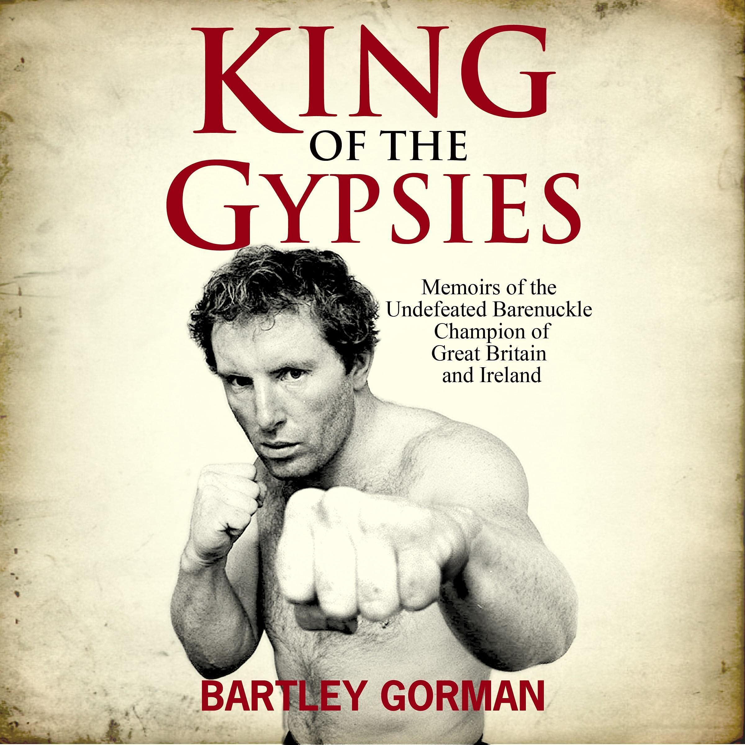 Cover art for King of the Gypsies