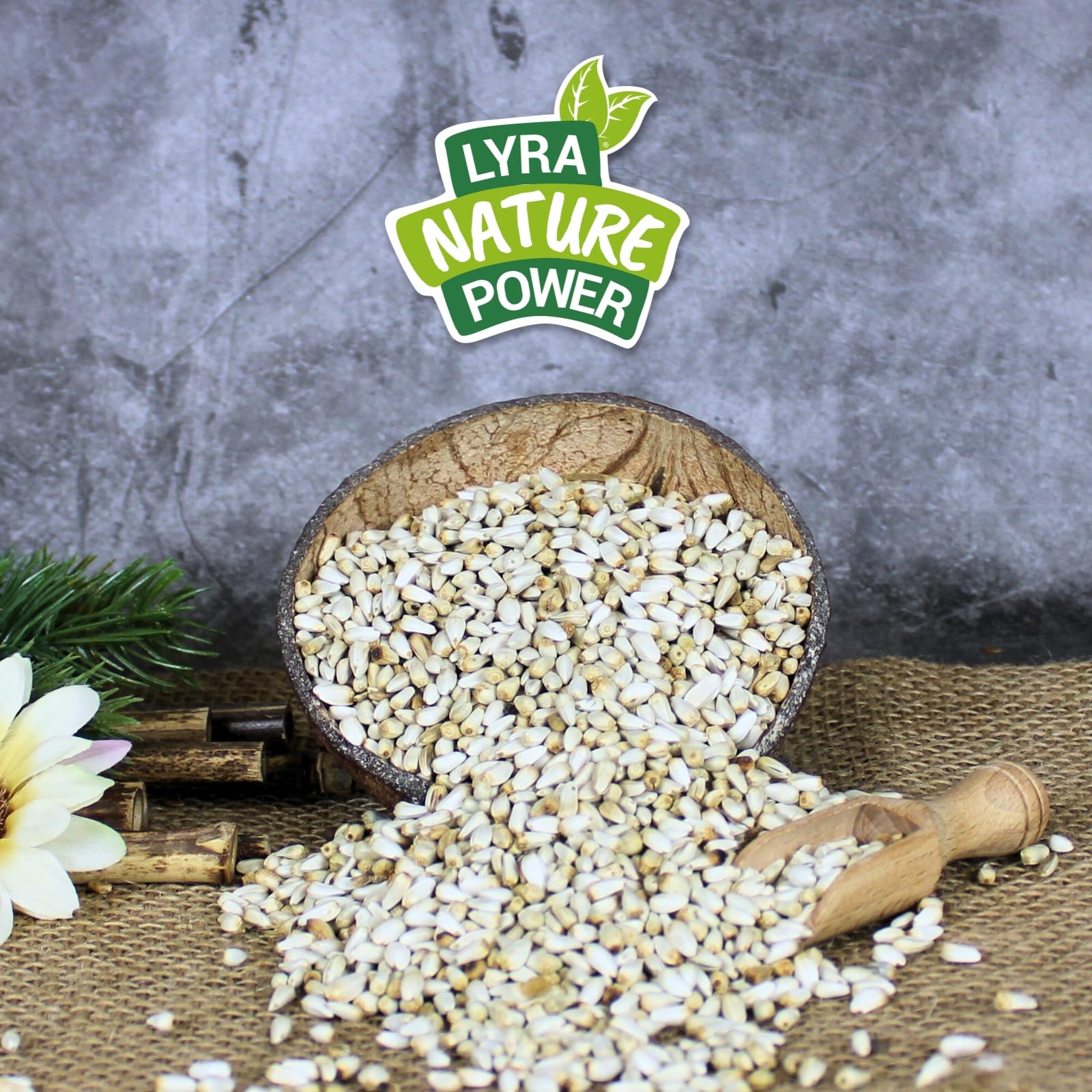 Lyra Pet® 20 kg graines de carthame, complément pour Oiseaux Sauvages | Riche en graisses & huiles | Aliment riche en glucides | Nutriments été & hiver | Complément pour mélanges