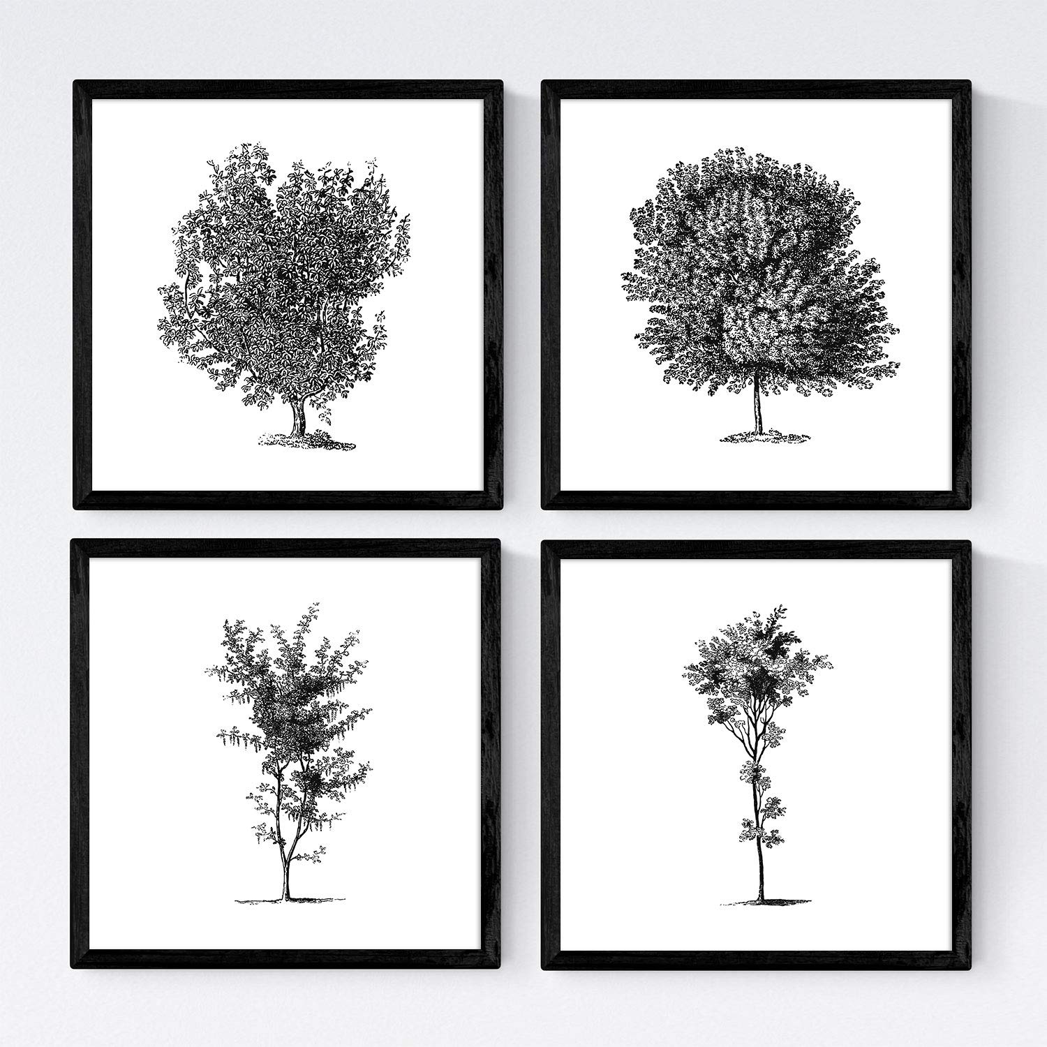 Affiche d'art de feuilles d'arbres de haute qualité Nacnic sur papier premium 250g
