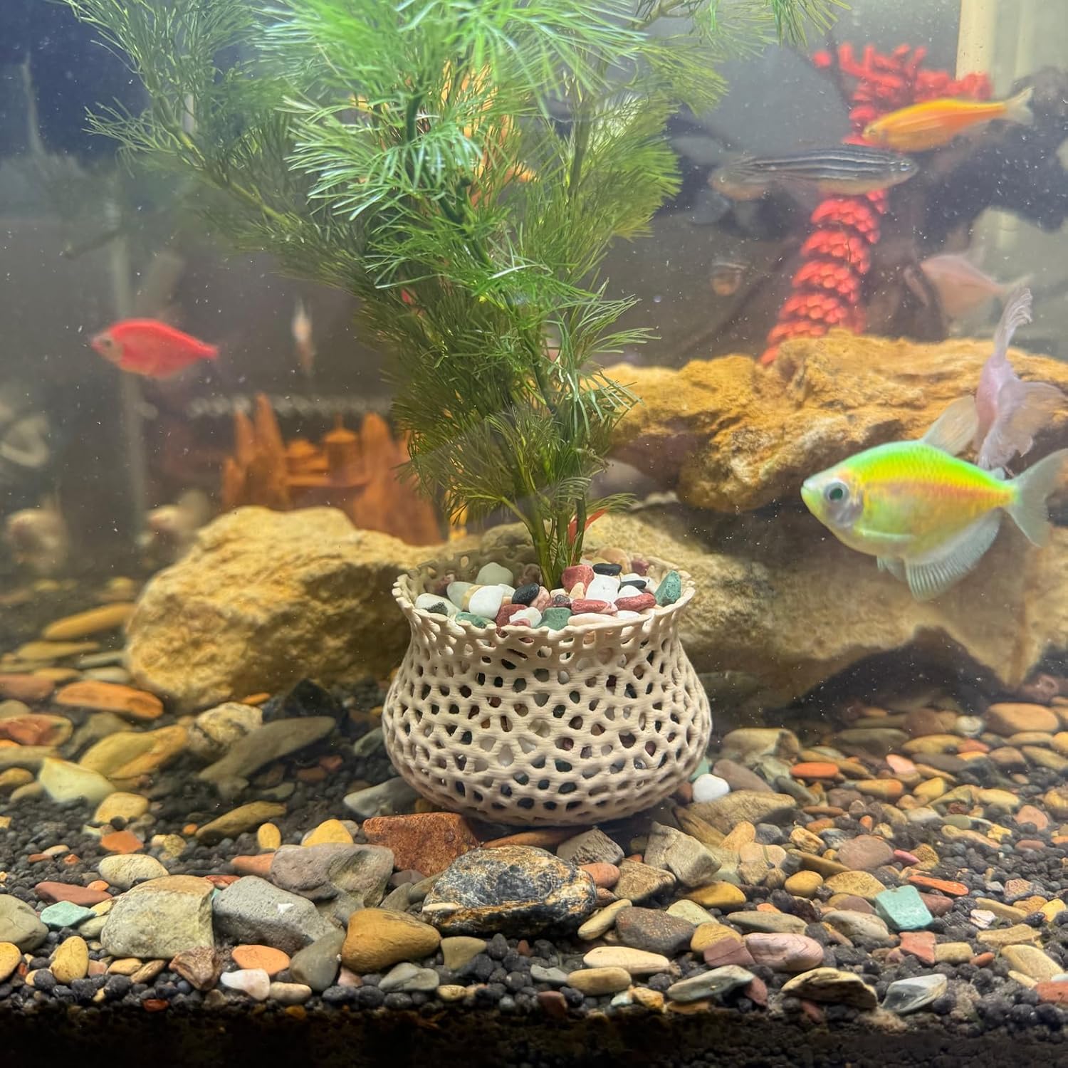 Aquarium Submerged Plant Pot, Underwater Plant Anchor, Fish Tank Aquatic Plante, Aquarium Landscaping Decoration, Decorative Accessories – 2-Piece Set (Wooden)