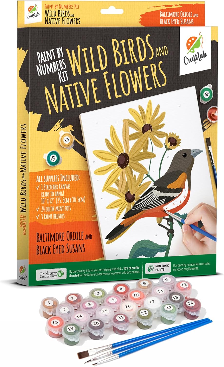 CraftLab Painting Kit - Acrylic Paint by Numbers, Brushes, Canvas, Oriole & Black Eyed Susans