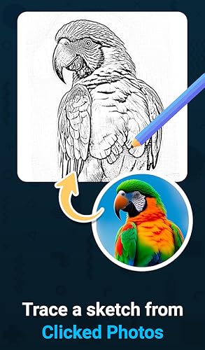 The Draw, Trace & Sketching app Draw Sketch and Trace