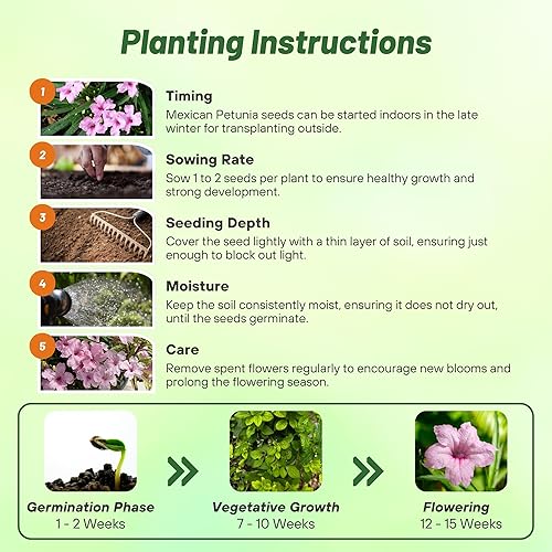 Miniatura 5 de Outsidepride Semillas de petunia mexicanas rosadas, 30 unidades. Semillas de flores perennes, compactas y extendidas para plantar flores vibrantes