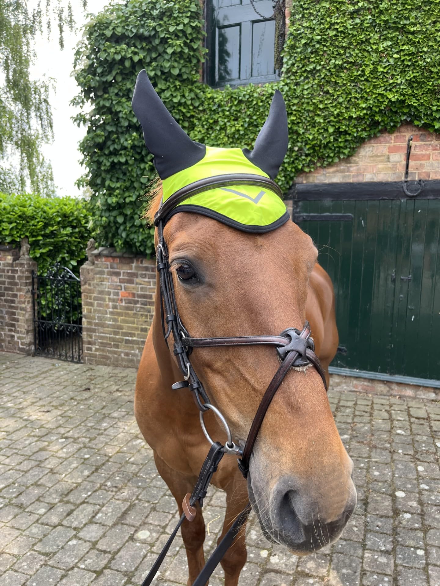 Ruggles Hi-Viz Ear Bonnet - Fly Veil for Horse and Pony - Yellow, Orange (Yellow, Pony) - Image 4