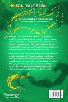Ruhkoparan - Morrigan Crow'un Peşinde: Morrigan Crow'un Peşinde
