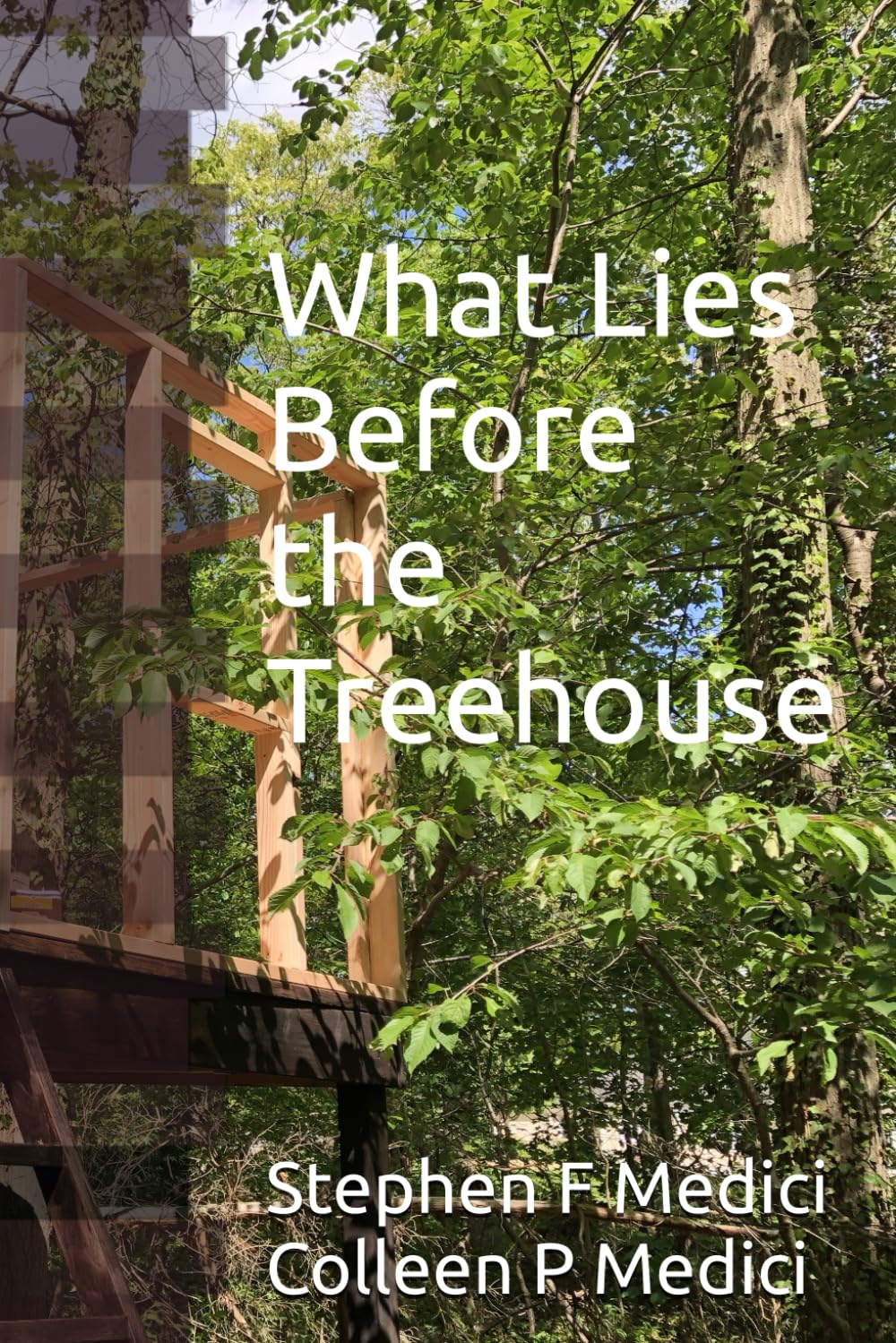 What Lies Before the Treehouse