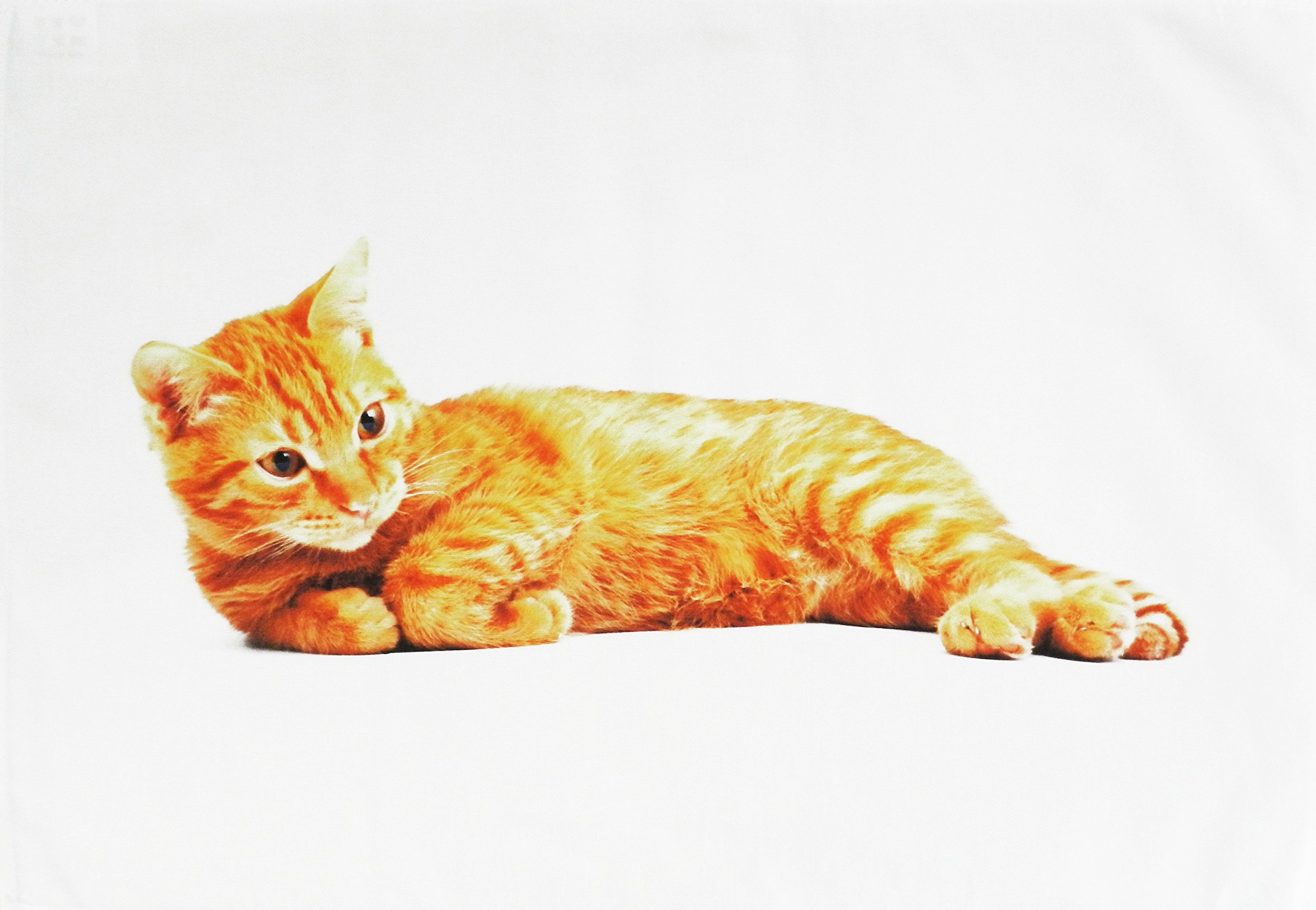Half A Donkey White/Orange The Big Ginger Cat - Large Cotton Tea Towel