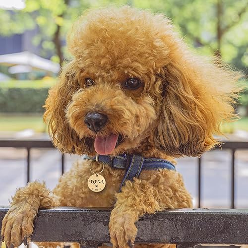 Miniatura 6 de JATEBI Etiqueta de identificación de mascotas de acero inoxidable etiquetas de identificación personalizadas en la parte delantera y trasera