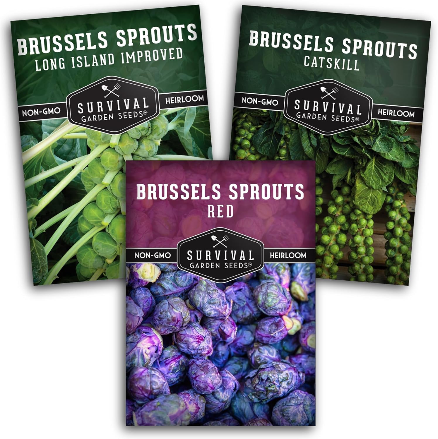 3 Heirloom Brussels Sprouts Seeds Variety Pack - Red, Catskill, Long Island Improved | Non-GMO Open-Pollinated Cool Season Veggies by Survival Garden Seeds